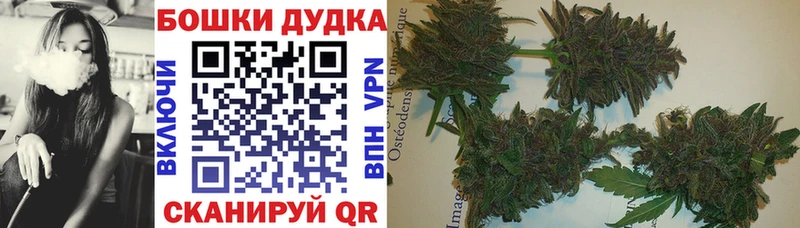купить наркотик  Куйбышев  Бошки марихуана гибрид 